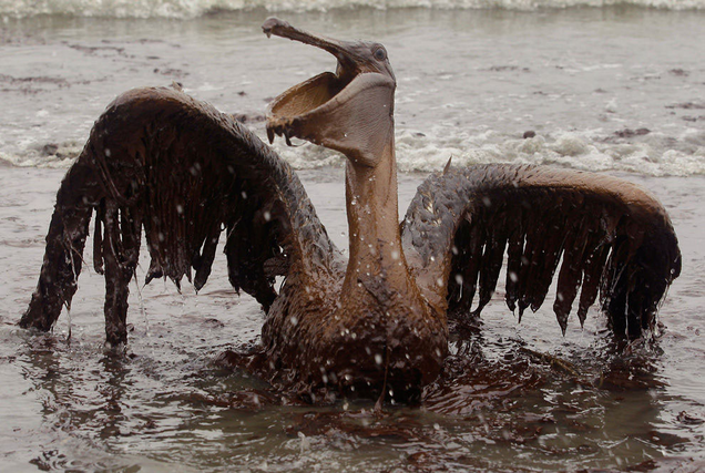 AP Photo/Charlie Riedel, File